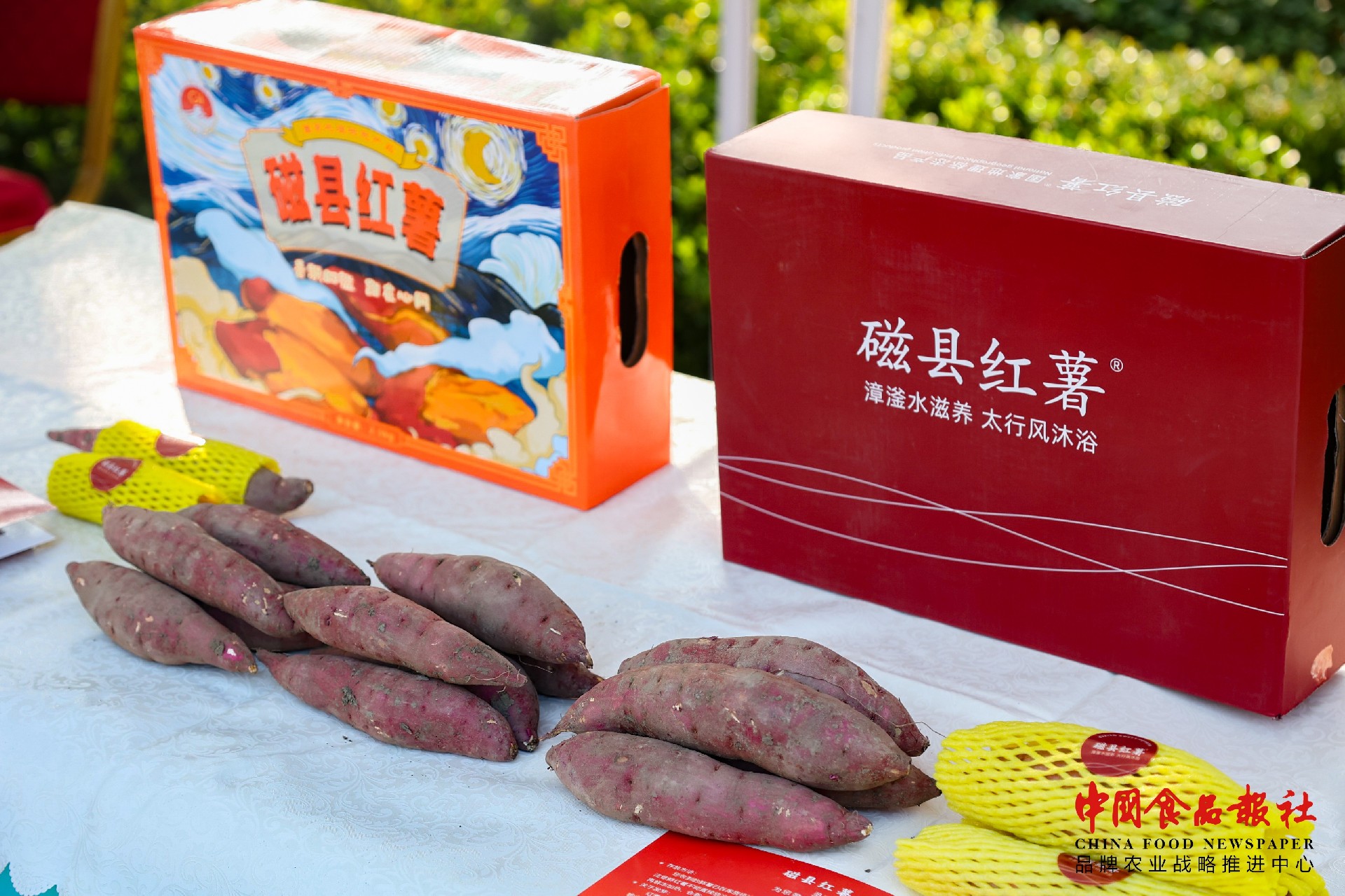 1728866373139861.jpg EK6A5291.JPG