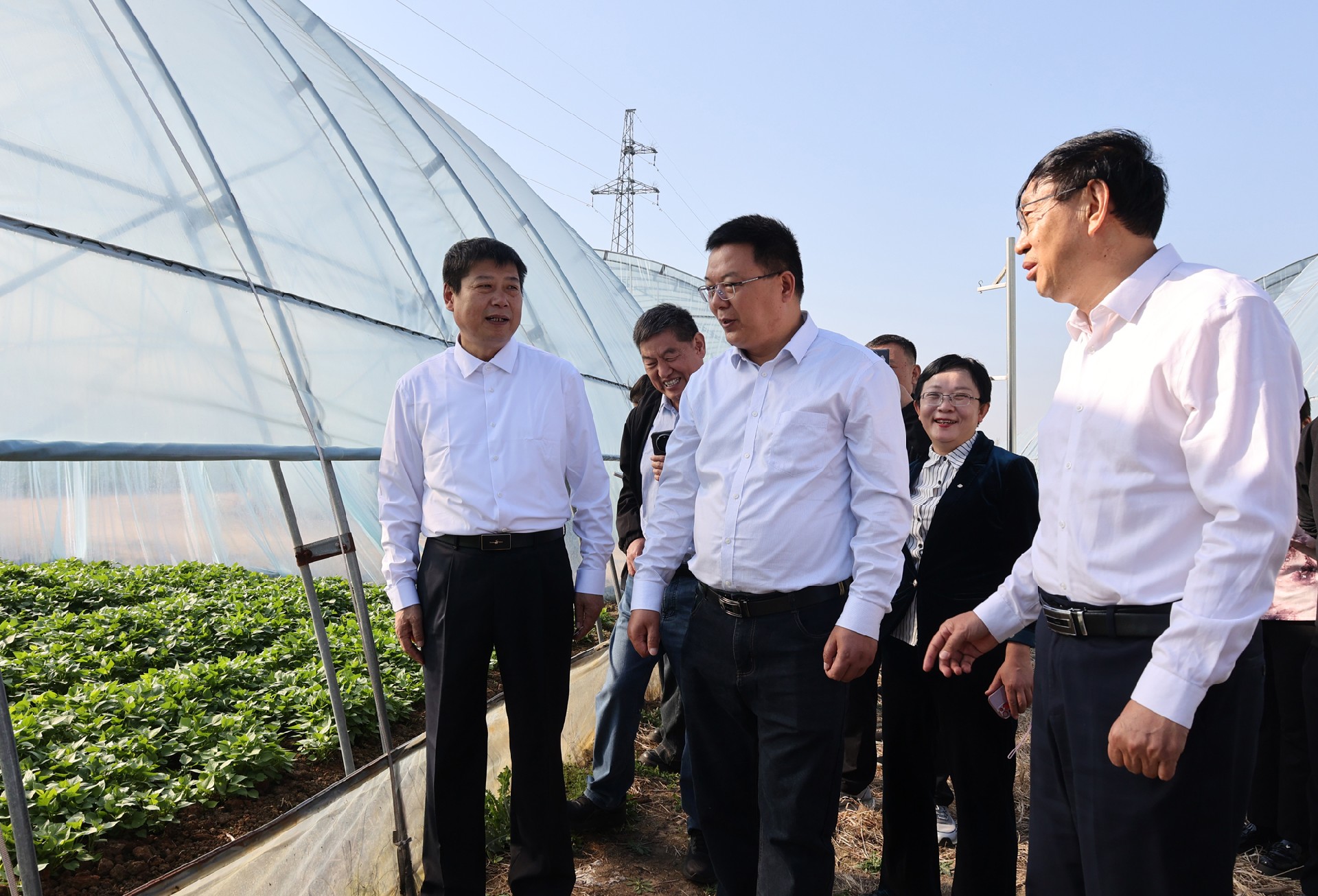 1743001151150058.jpg 5T8A0754.JPG