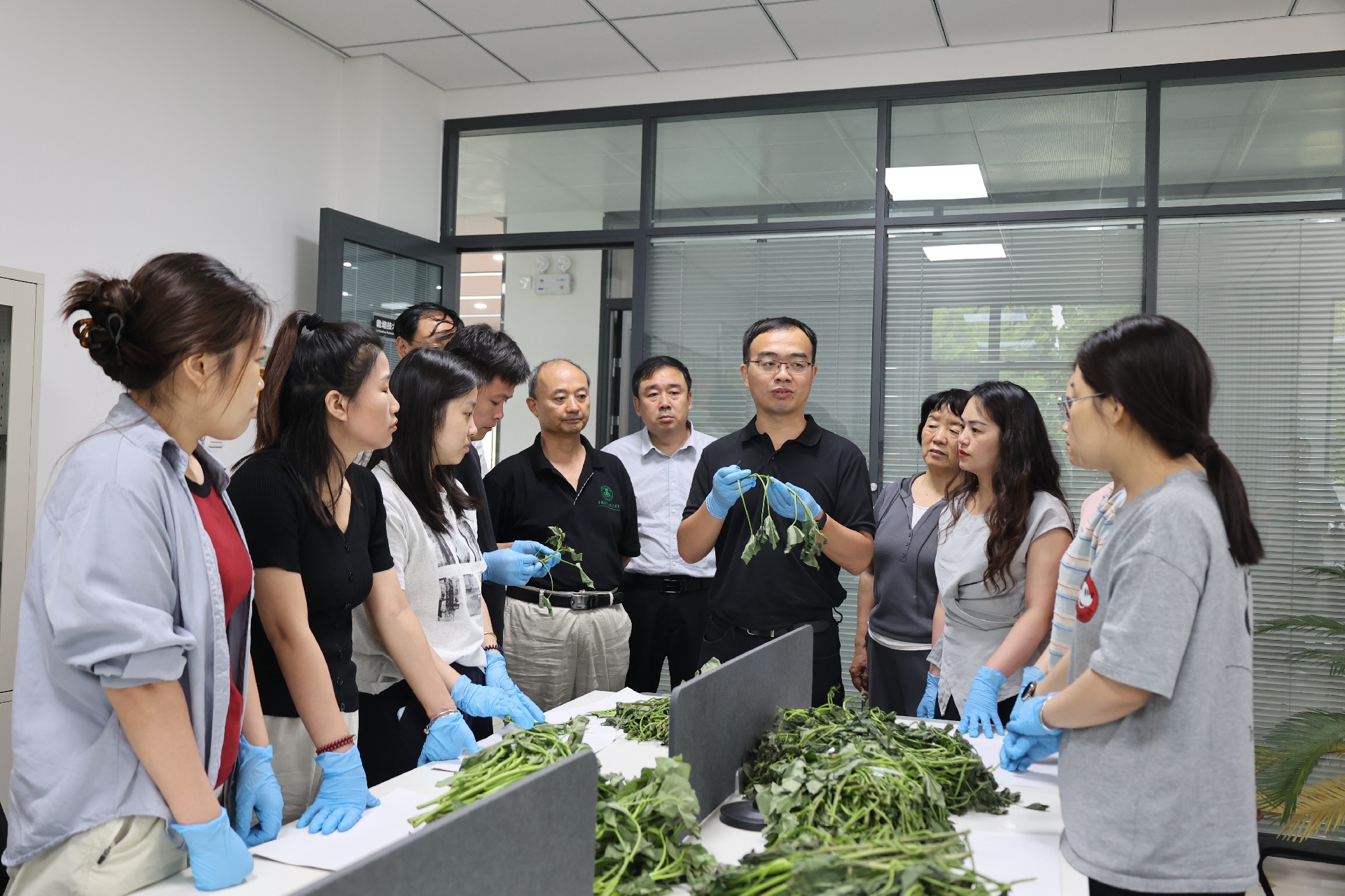 1749640254114851.jpg 微信圖片_20250611190826.jpg