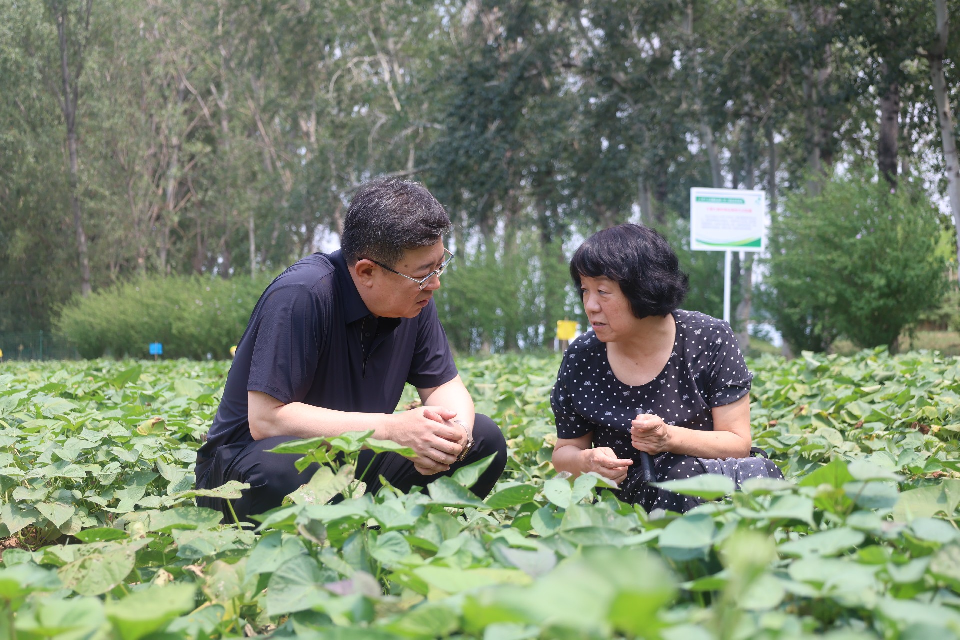 1754042782169394.jpg 微信圖片_20250801180213.jpg