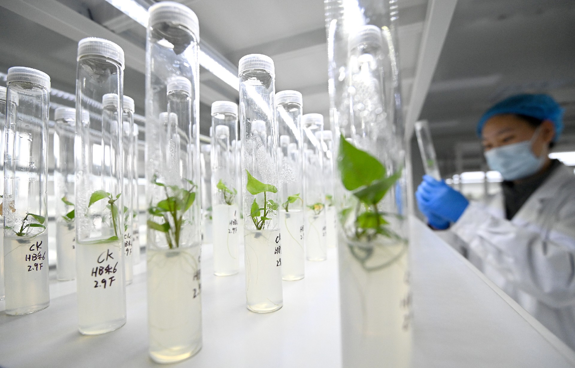 1766720373233842.jpg 4.jpg