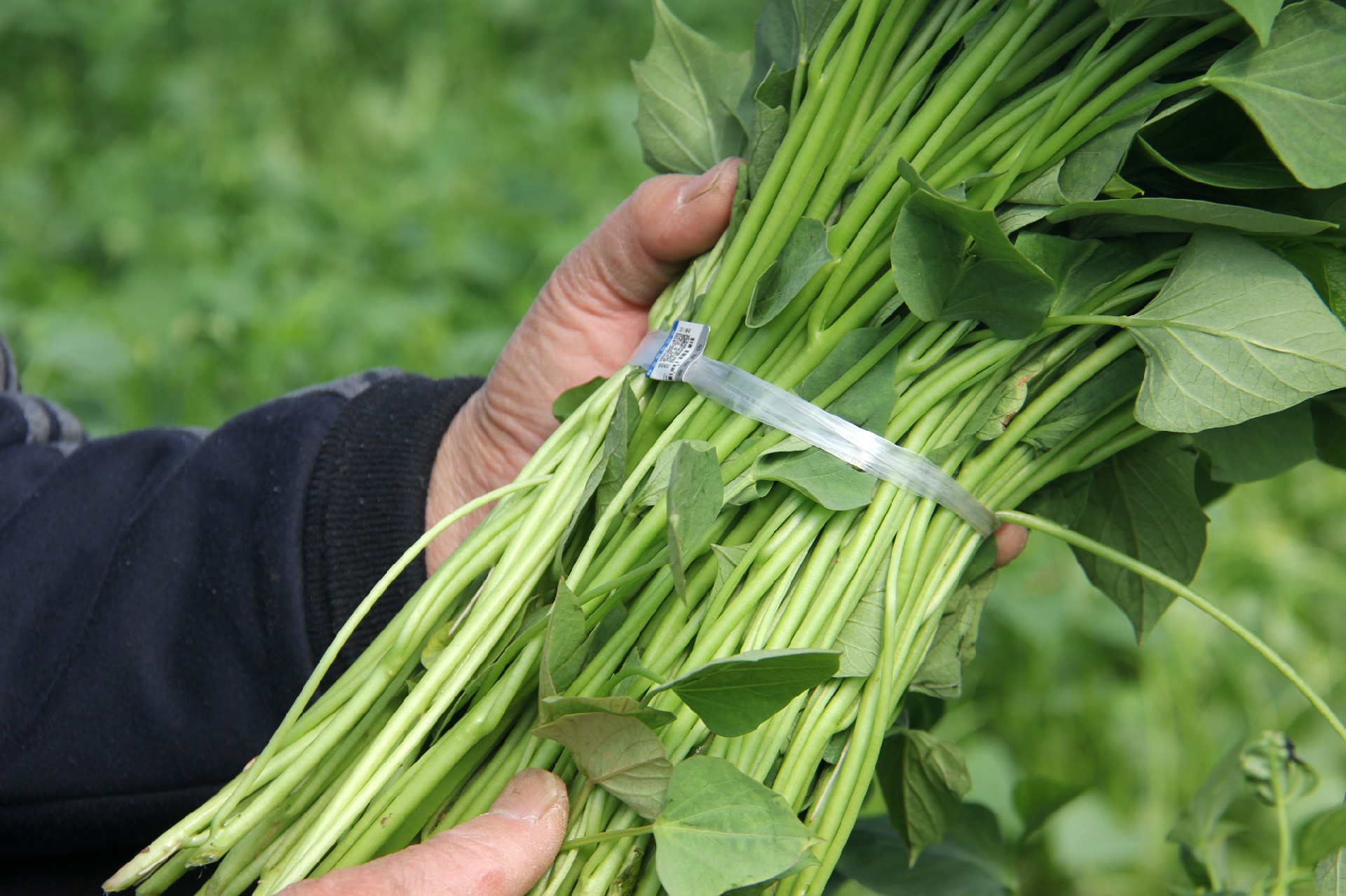 1766720396153974.jpg 微信圖片_20251226112612_1082_2.jpg