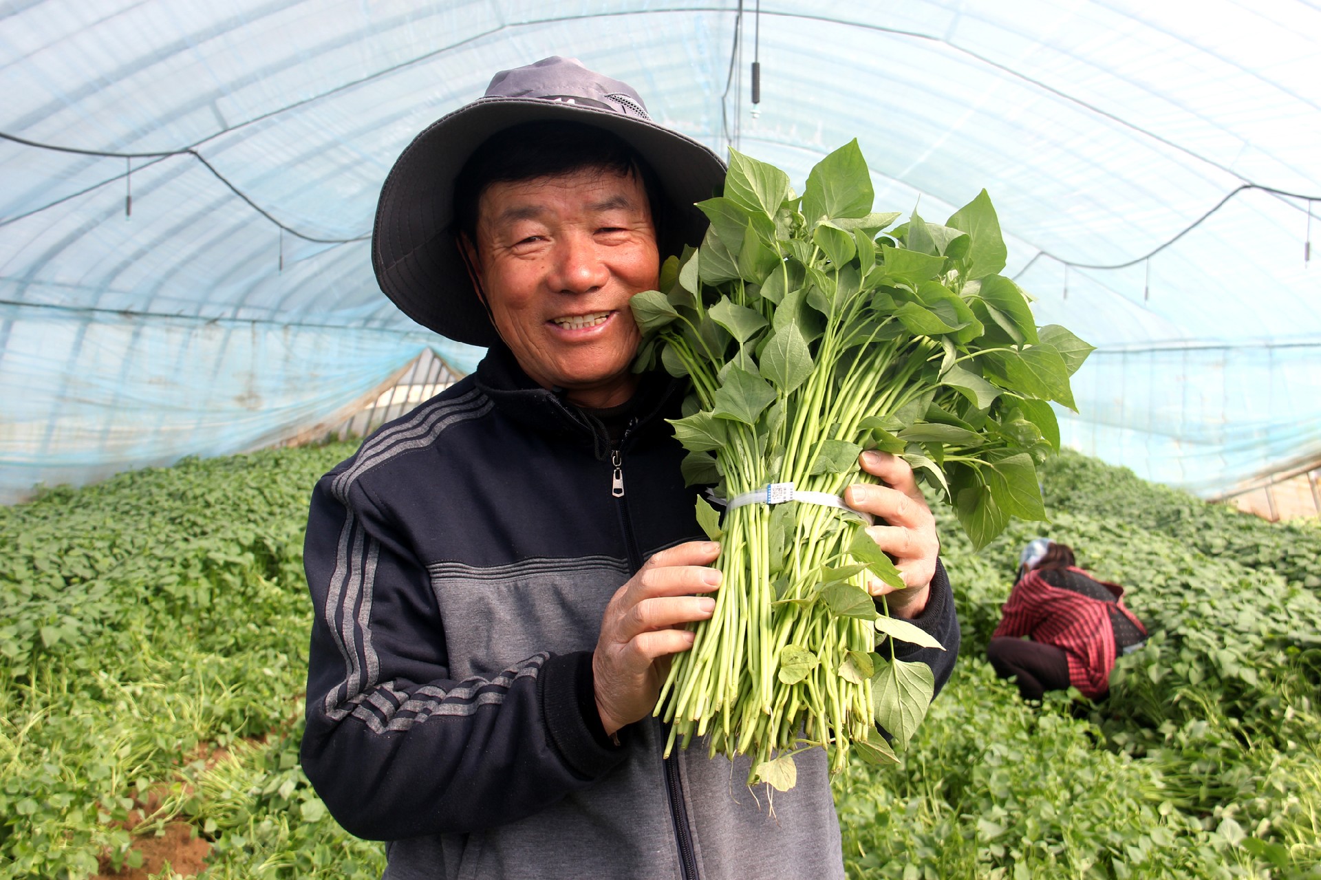 1766720413147205.jpg 微信圖片_20251226112613_1083_2.jpg