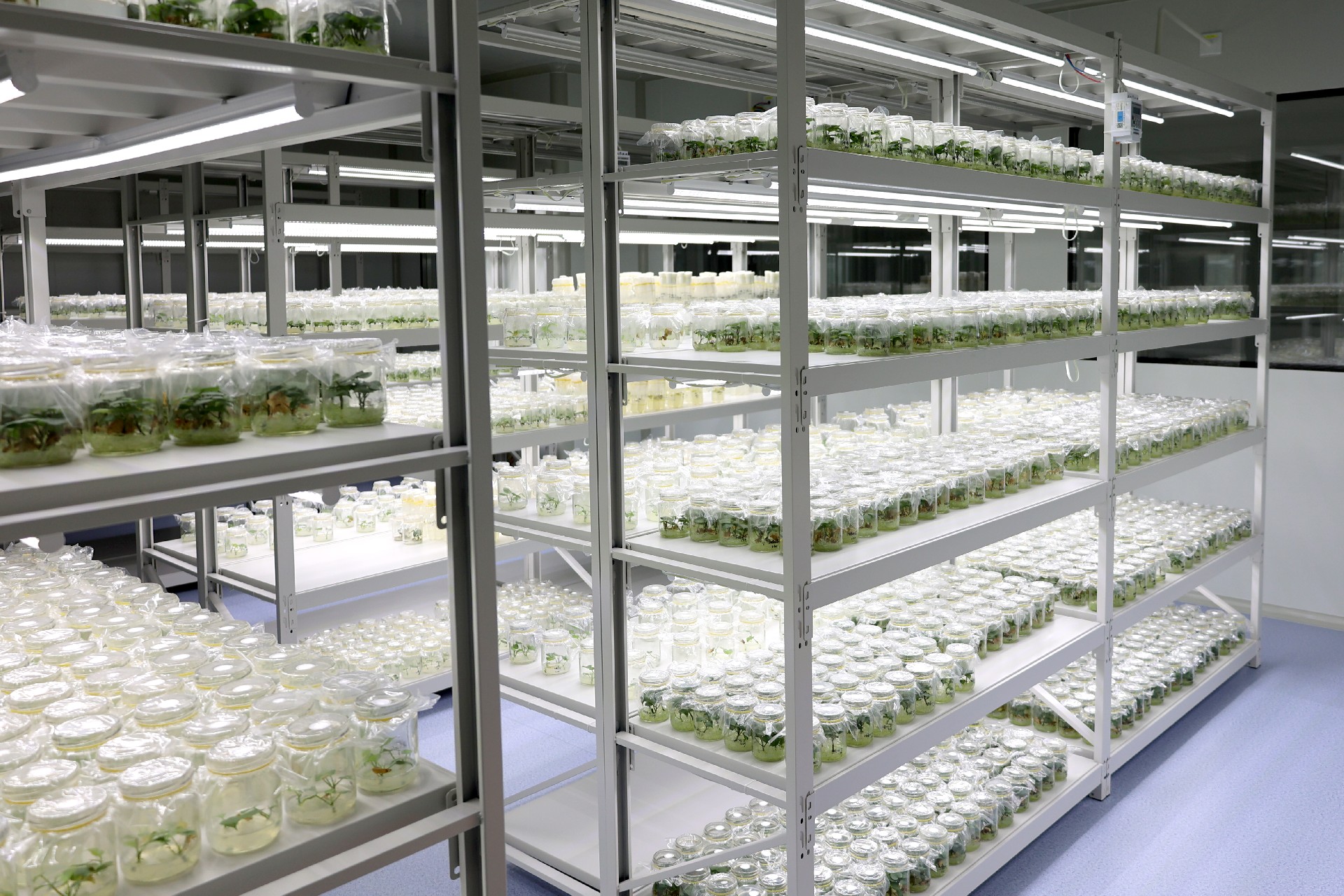 1766720711153482.jpg 2.jpg