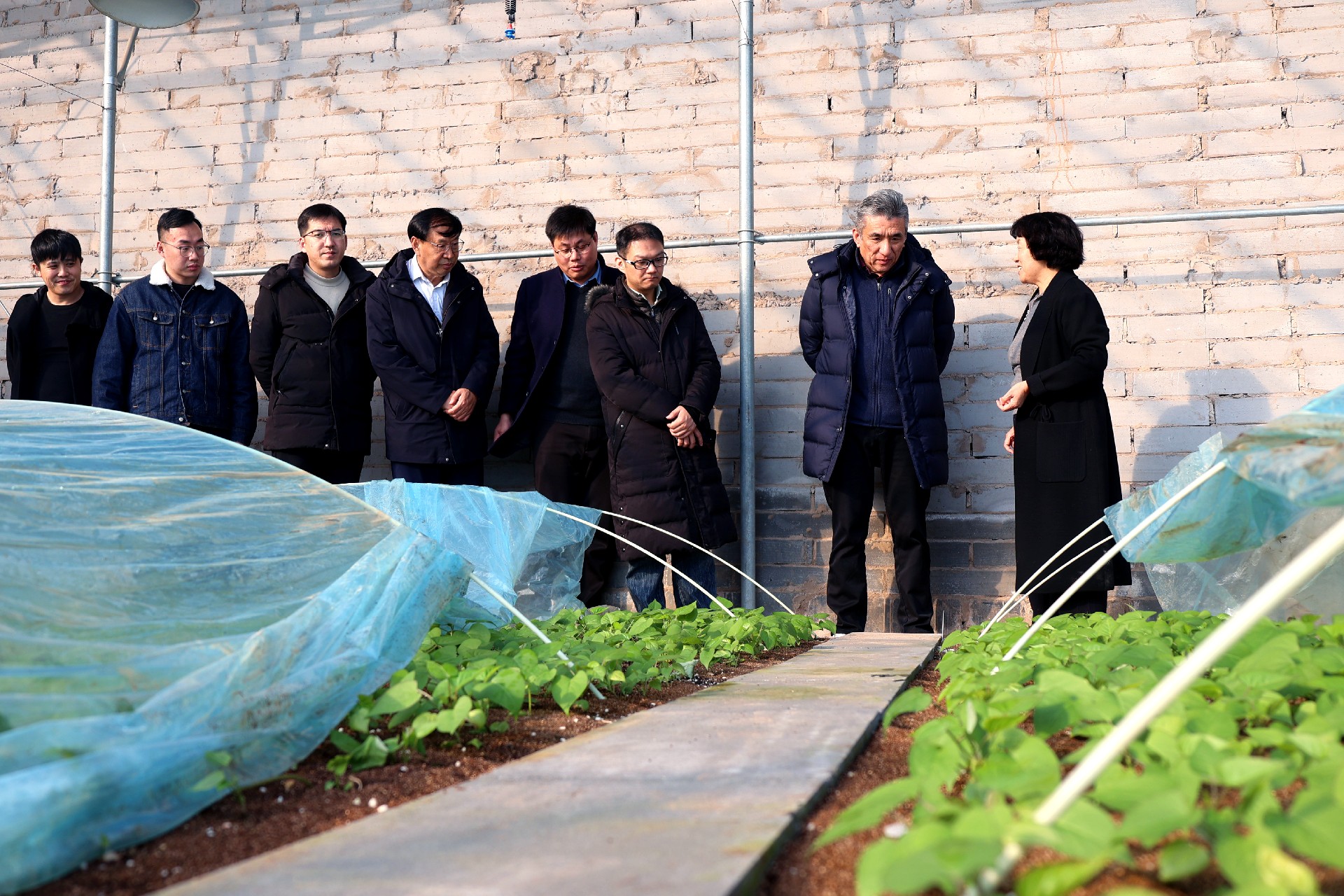 1768382037157401.jpg 微信圖片_20260113155847_213_53.jpg